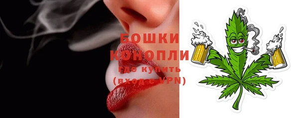spice Арсеньев