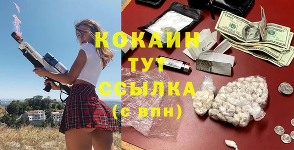 ешки Аркадак