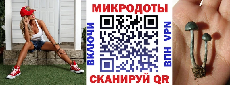 Галлюциногенные грибы Cubensis  Каргат 